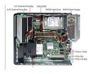 7900sff3